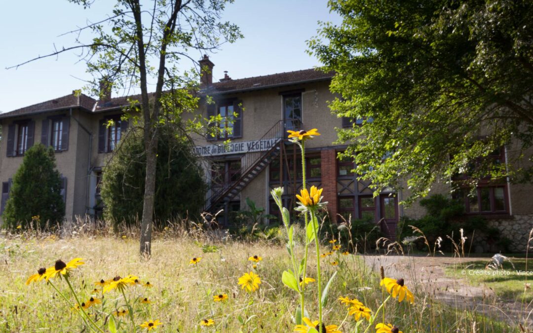 Summer School Innovation, Genetics, Epigenetics and Immuno-Therapeutics in Oncology
