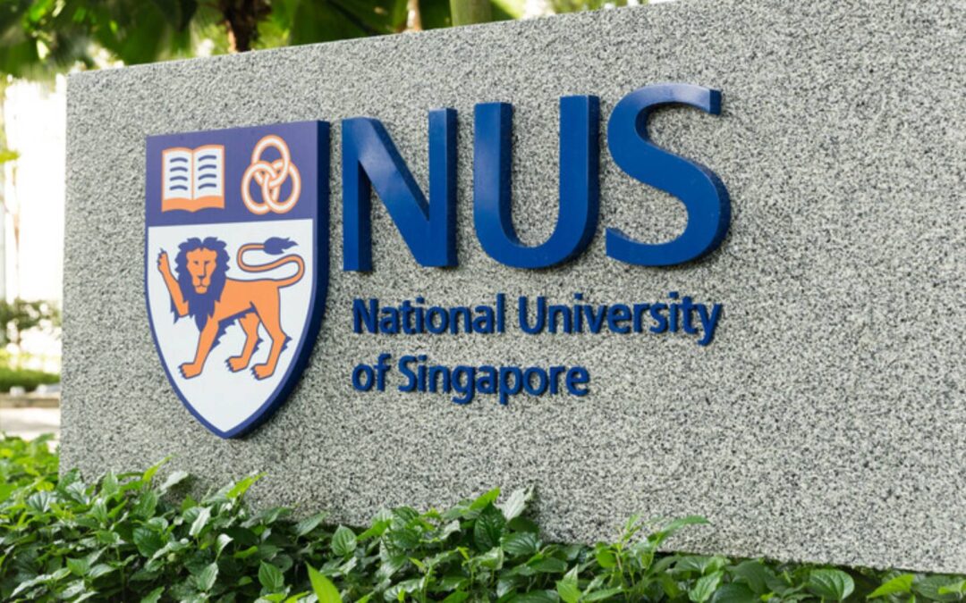 [Paris–NUS] 2026 calls for projects