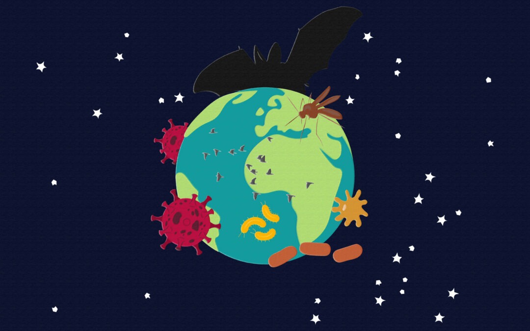 Financements complémentaires – Graduate School 1H-EID